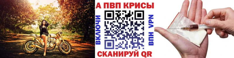 kraken как зайти  как найти   Маркс  Alpha-PVP VHQ 