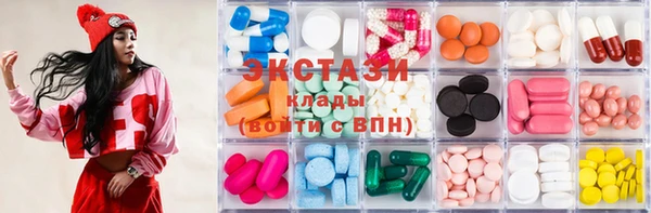 стаф Ельня