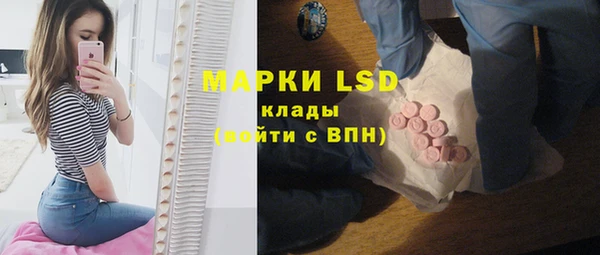 ешки Елабуга