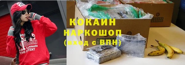 гашик Няндома