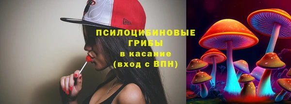 стафф Дмитров