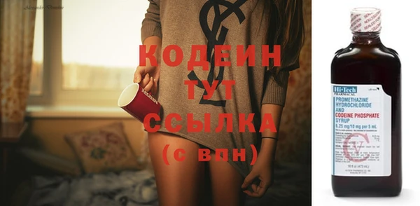 стаф Ельня