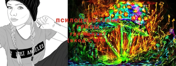 стафф Дмитров