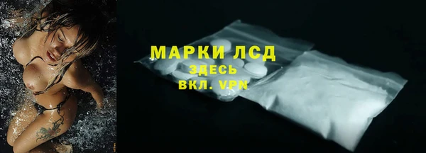 стафф Дмитров