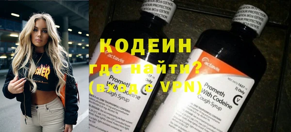 стаф Ельня