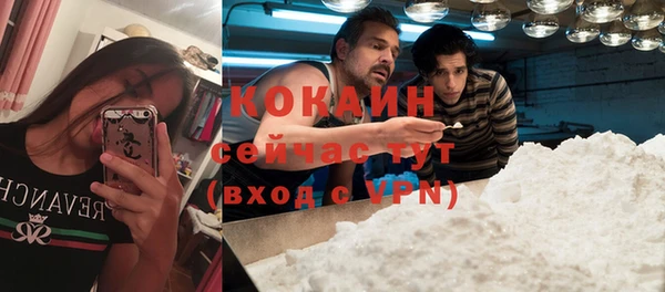 стаф Ельня